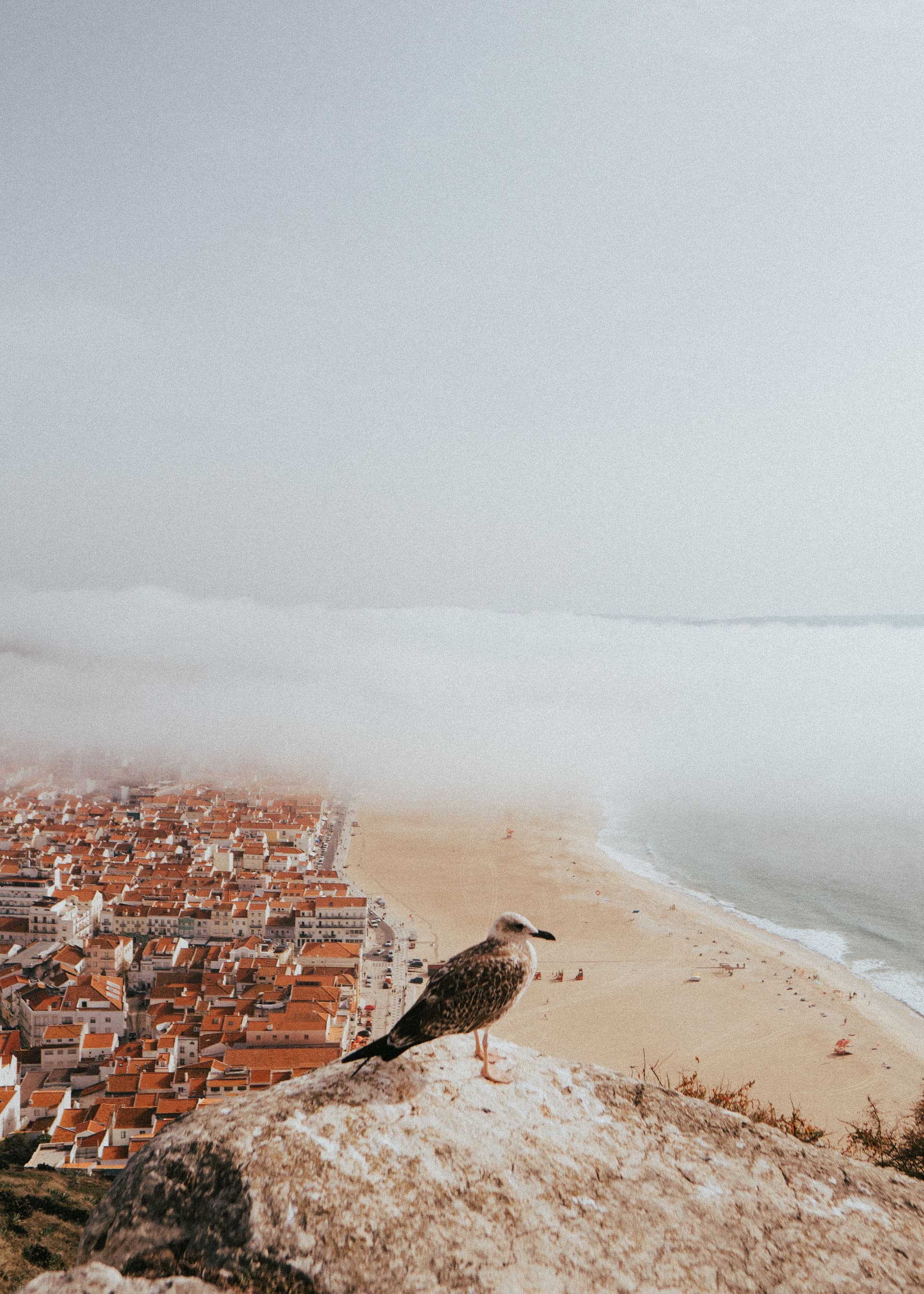 Fátima - Nazaré - Óbidos - 4